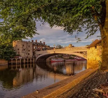 Modern 3-bedroom House Near Centre Pet Friendly *